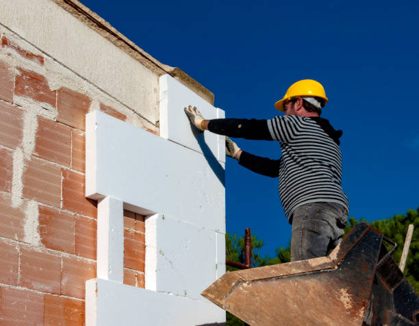 Best Insulation Maintenance and Repair in Ben Bolt, TX