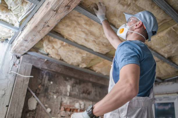 Best Fiberglass Insulation in Ben Bolt, TX