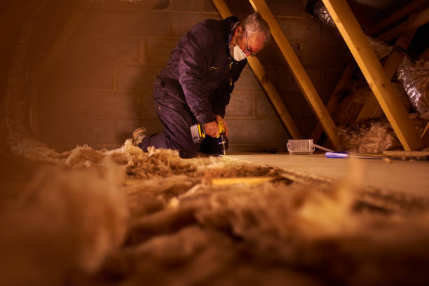 Best Blown-in Insulation in Ben Bolt, TX